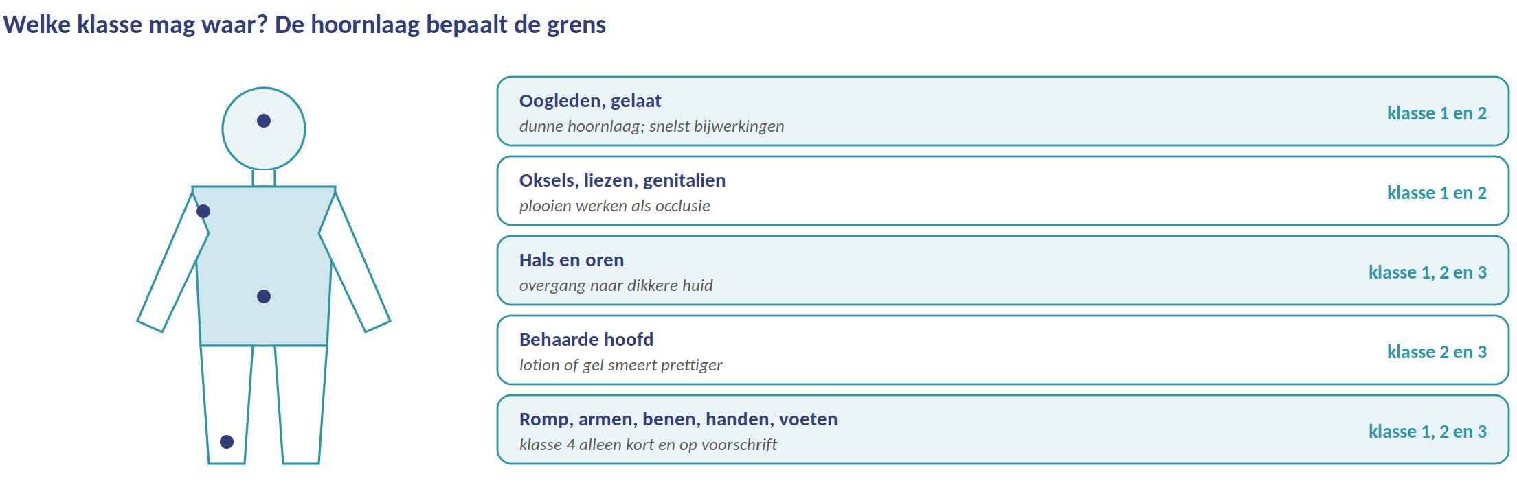 Hoornlaag als kaart: toegestane klasse per lichaamsdeel